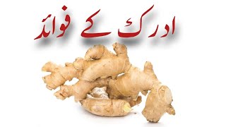 Ginger health Benefits || adrak ke fayde in urdu