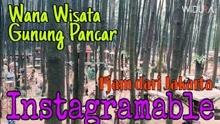 Gunung Pancar tempat wisata sekitar jakarta yang Instagramable #iniindonesia