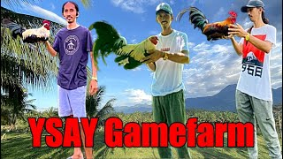 Lets Visit the Farm Of Ysay Gamefarm