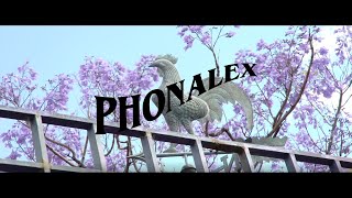 PHONALEX en la final Camino a Abbey Road 2017