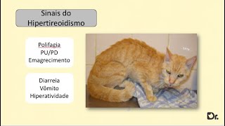 Hipertireoidismo e Anemia Autoimune- Relato de Caso- Encontro 12- Grupos de Estudos Dr. Cat