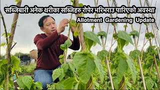 Nepali Gardening Vlog | सब्जिबारी अनेक थरीका सब्जीको बिरुवाले भरिएको अवस्था | Nepali Family UK Vlog