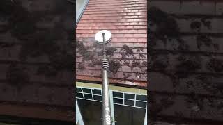 Roof Cleaning Tiktok bdsproclean