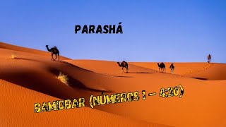 Parashá Bamidbar (No Deserto) - (Números 1–4:20) #judaísmo #torah #parashá