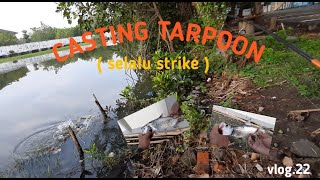 CASTING TARPOON ( selalu strike ) vlog.22