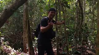 Liburan dihutan Kalimantan #hutankalimantan