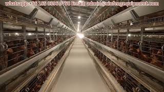 Type H Poultry Layer Cage System Chicken Egg Farming in Nigeria