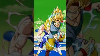 GOKU VS VEGETA VS GOGETA VS BROLY #gogetavsbroly#dragonballz