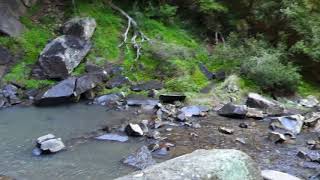 SNIPPETS: nature Hogsback "Madonna and Child Waterfall" 21 Oct 2017