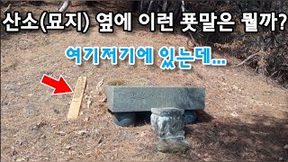 산소(묘지) 옆에 이런 푯말은 뭘까? 여기저기에 있는데...