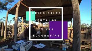 Ecografias