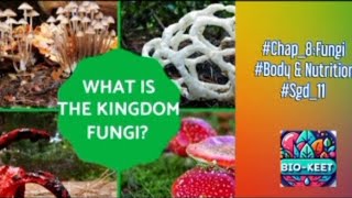 #ch_8_sgd_11 #Fungi #Kingdom_fungi #Mycelium #Nutrition_fungi #Haustria #Lichens #Mycorhizae