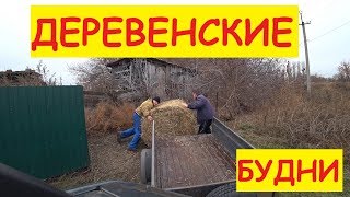 Деревенские будни / Скоро морозы / Отвёз тюк / Переставили тёлку / Семья в деревне