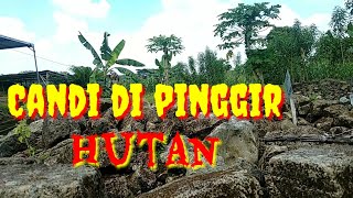 Berita lamongan Candi di temukan di pinggir Hutan.