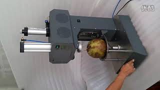 Automatic coconut peeling machine