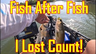 Catch MORE Fall Bass This Year | Evergreen Lake, IL