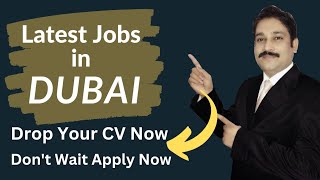 Jobs in Dubai Today 2023| Dubai Jobs Today| Jobs in UAE 2023