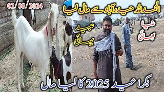 Hyderabad bakra Mandi | bakra Eid 2025 ka mall liya | Karachi sy dost aya | date 02/08/2024