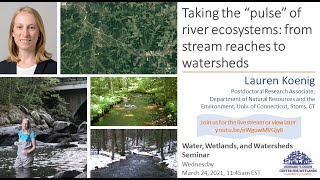 W3seminar: Taking the “pulse” of river ecosystems: from stream reaches to watersheds