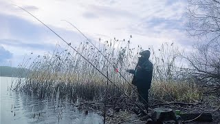 Как ,где и на что ловить Леща в начале зимы.Капризный клёв и изменчивая погода .Фидер на реке.