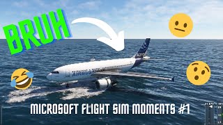 Microsoft Flight Sim Moments