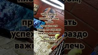 "Нет ничего плохого в том, чтобы праздновать успех, но гораздо важнее извлечь уроки из поражений."