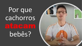 Por que cachorros atacam bebês?