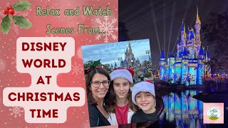 Disney World at Christmas Time 2023