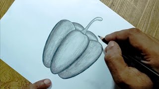 Capsicum drawing easily/How to draw capsicum easy steps with shading