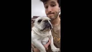 Cute TikTok Pets   TRY NOT TO AWW 🥰