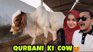 ALHAMDULILLAH😍bohot pyaari masoom cow khareedli ab bakra leny ki baari🐐