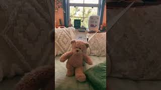 Teddy Routine Tiktok thecubbycottage