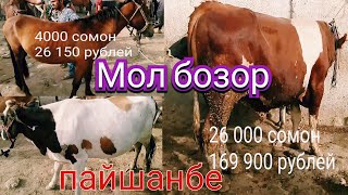 Мол бозор пайшанбе н Евон 2 кисм