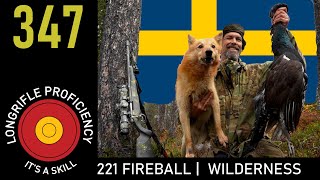 LR Blog 347: Hunting birds w dogs & 221 Fireball