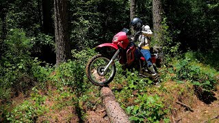 We Encounter Obstacles on a Dual Sport Ride