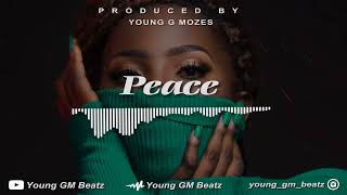 Afrobeat Instrumental 2023 - " PEACE "