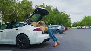 Hands Free Trunk   Tesla