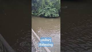 Travel Bangkok Safari World 🇹🇭Safari เวิด์ล # #shortvideo #shortsyoutube #shortsfeed #thailand #fun