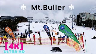 Mt Buller Snowy Mountain and Ski Experience |  Australia 2022  [4K]