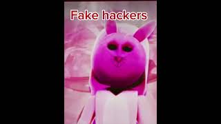 Fake hackers vs Real hackers! #roblox