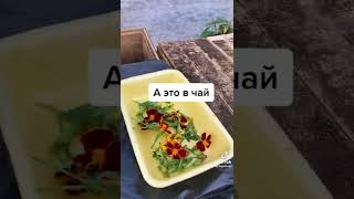 #Tatyamin VLOG # Бархатцы #Сделайте это сейчас