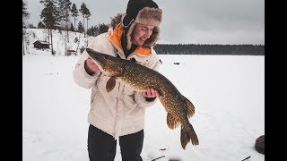 Эти ЩУЧИЩЕ утаскивают жерлицы в лунки! Закрыл сезон ЩУКОЙ под 5 кг.