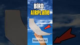 WINGS OF WONDER Bird Meets Aeroplane