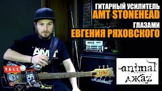 Animal ДжаZ: гитарный усилитель AMT Stonehead глазами гитариста Евгения Ряховского.