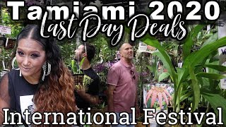 Pt 4 LAST DAY DEALS!  Amazing Deals at Tamiami Orchid Festival Expo - Orchids, Aroids, Houseplants