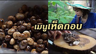 🍄ขึ้นดอยเก็บเห็ดถอบ ทำเห็ดส้มเเละคั่วใส่ดอกอาว | สาวยอง