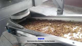 İşlenmemiş Kuru Üzüm (Kuru) Zennep Alma - Unprocessed Raisin Vertical Dry Cap Stemmer