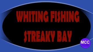 STREAKY BAY WHITING FISHING