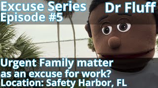 Work excuses with Dr Fluff at Safety Harbor, Fl. How to call out of work with an excuse.