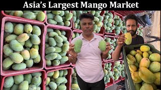 एशिया की सबसे बड़ी आम की मंडी | Asia's Largest Mango Market   #mango #fruit